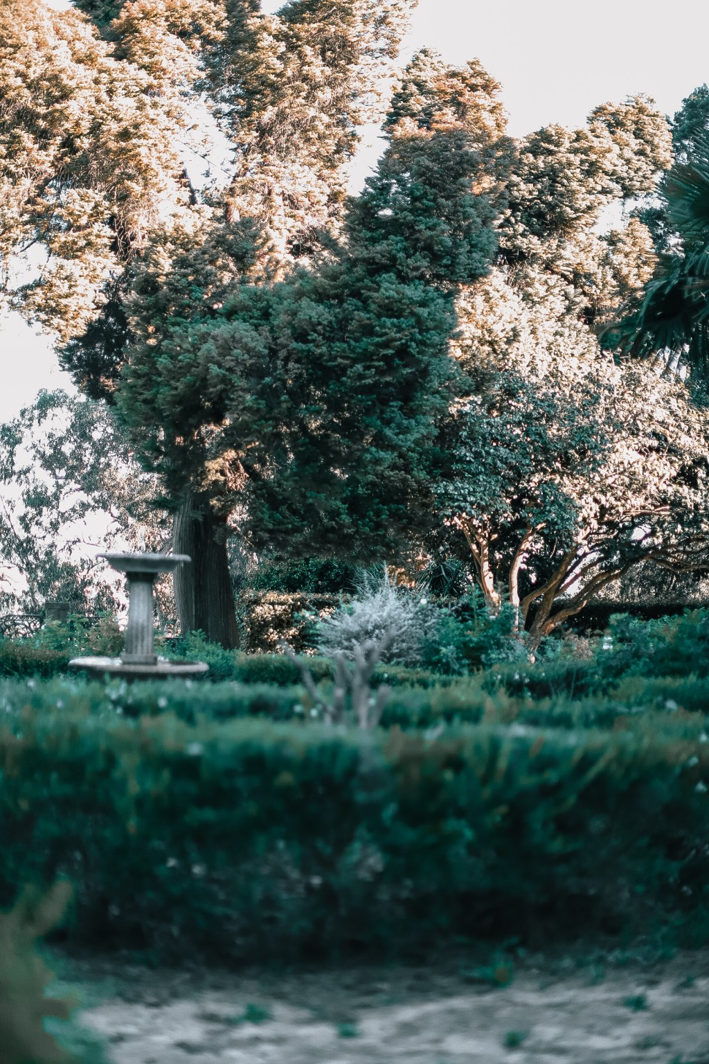 Porto’s Treasures: Navigating the Crowds at Livraria Lello and Finding Solace in Parque das&nbsp;Águas